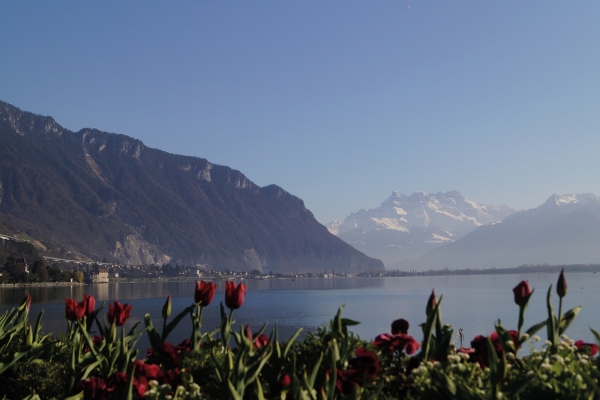 Urbane Wanderung in Montreux VD