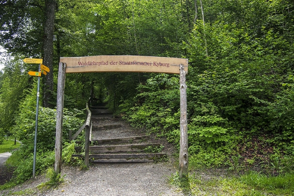 Von der Stadt durch den Wald auf die Kyburg