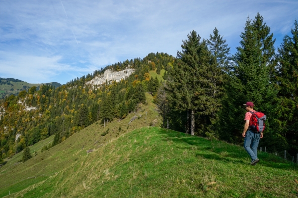 Am Wellenberg im Engelbergertal