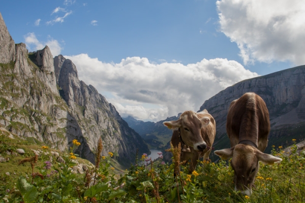 Schroffe Felsen, luftige Höhen