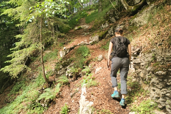 Les hauts du Jura, un paysage varié