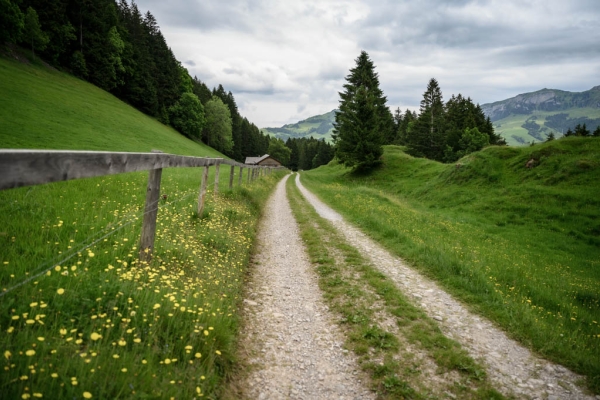 Die Anziehungskraft des Leuenfalls