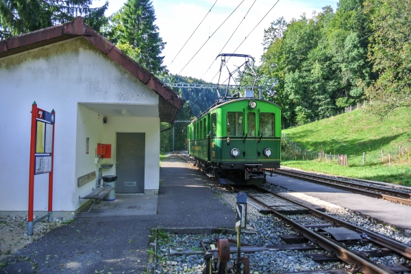 Teiche und Pferdeweiden in den Freibergen