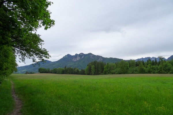 Entlang der Saane und umgeben von den Freiburger Voralpen