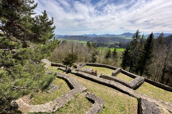 Sonnige Frühlingswanderung durchs Fricktaler Kirschenmeer