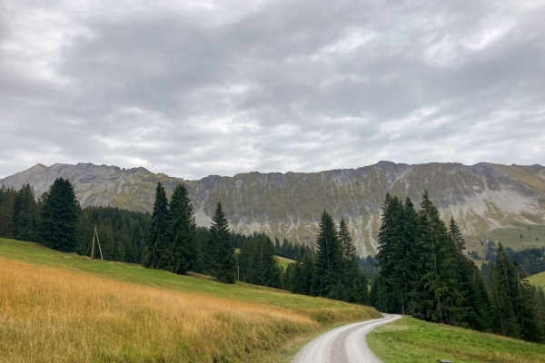 Wanderung durch die Moore der UNESCO Biosphäre Entlebuch