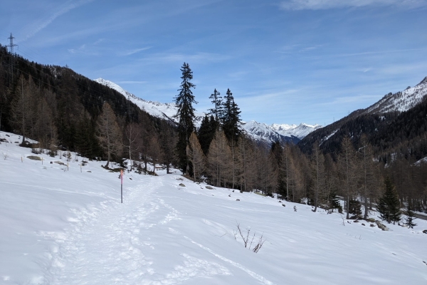 Primi passi con le racchette da neve