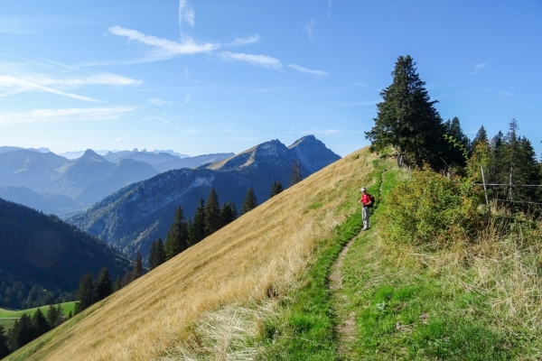 Wanderung auf die Vudalla im Naturpark Gruyère Pays-d’Enhaut