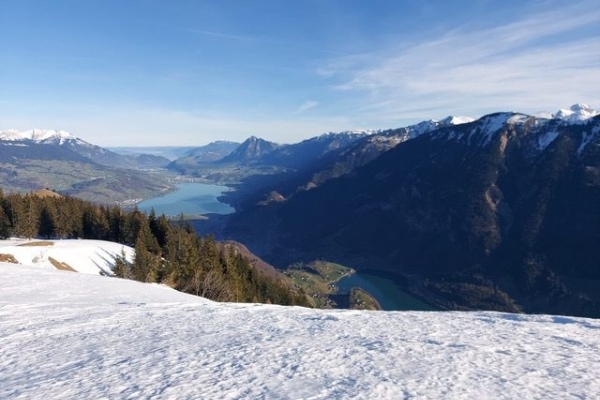 Schneeschuhwanderung Brosmatt - Riebensädel