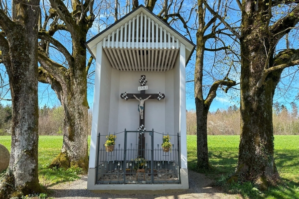 Sonnige Frühlingswanderung durchs Fricktaler Kirschenmeer