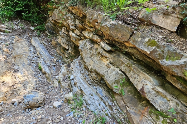 Il Monte San Giorgio-Patrimonio mondiale dell’UNESCO