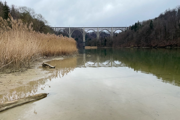 Quand le sol tremble sous les pieds à Fribourg