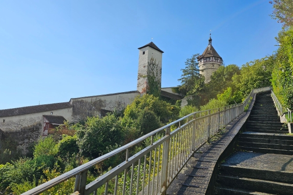 Auf des Munots altem Turme