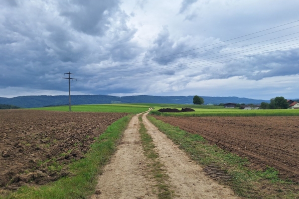 Stille erleben auf dem Jura-Höhenweg in der Ajoie