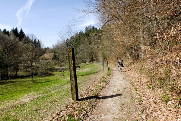 Vom Solothurner Limpachtal an die Aare