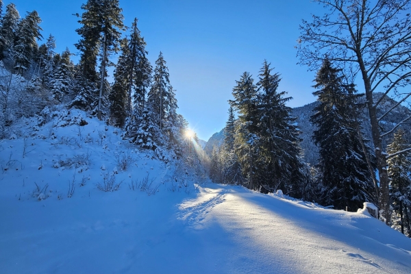 Guggistafel-Trail