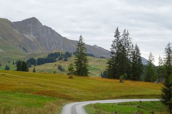 Wanderung durch die Moore der UNESCO Biosphäre Entlebuch