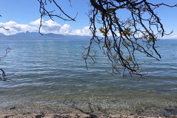 Randonnée au bord du lac Léman