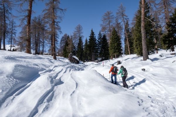 Schneeschuhtrail oberhalb von Salouf