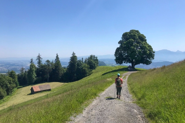 Randonnée familiale dans un paysage de drumlins