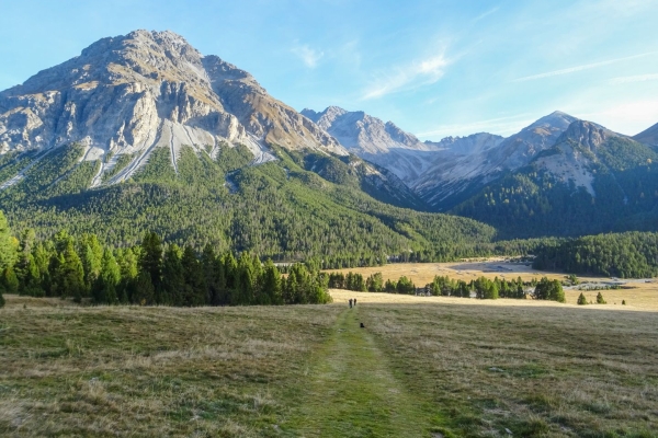 Sur le Munt la Schera dans le Parc national suisse