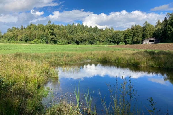 Von Herblingen nach Büsingen