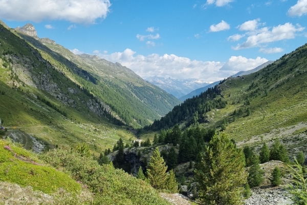 R57: Gruben - Vorder Sänntum - Turtmannsee - Turtmannhütte - Hungerli Mittelstafel - Gruben