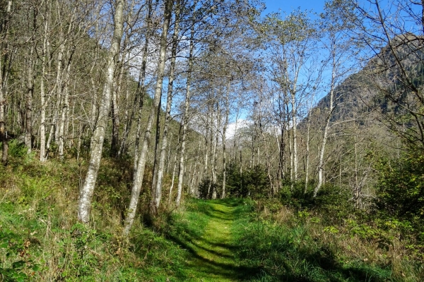 Le long de la Calancasca dans le Parco Val Calanca