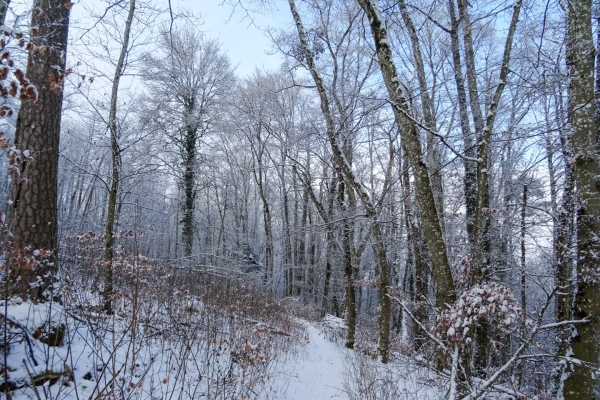 Le Reiat, dans le Parc naturel Schaffhouse