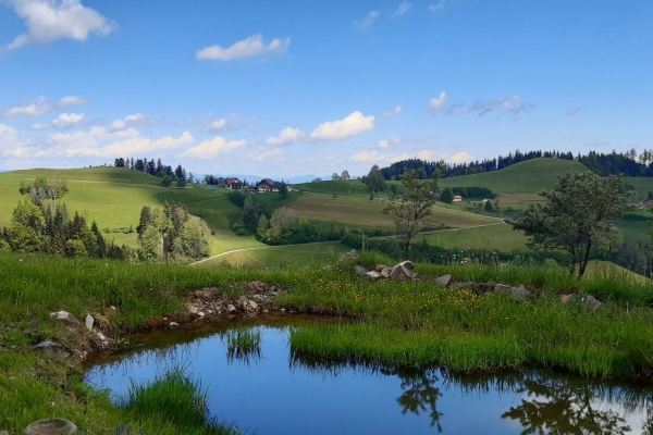 Via Strickkreuz zum Menzberg