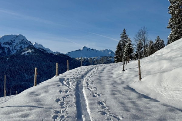 Schneeschuhwanderung rund um und auf den Riedmattstock