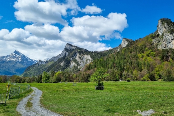 Passeggiata tra vigneti e castelli attraverso la Signoria Grigionese