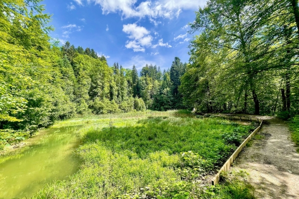 Familienwanderung durch die lauschige Wissbachschlucht