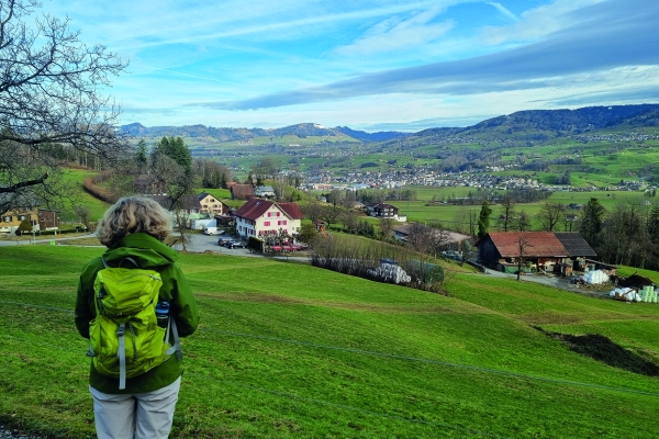 Benkner Büchel in der Linthebene