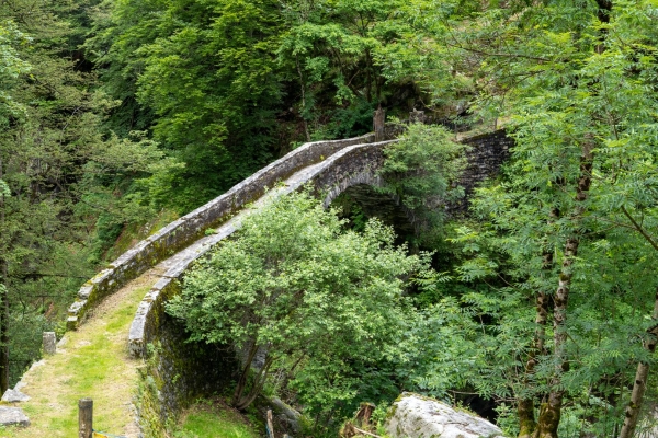 Auf einsamen Pfaden im grünen Valle di Vergeletto