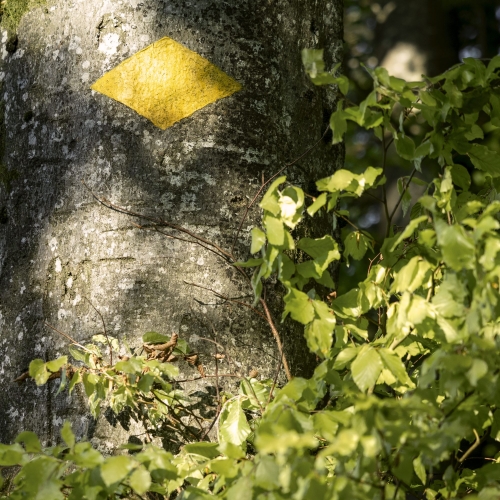 Losange confirmation chemin de randonnée