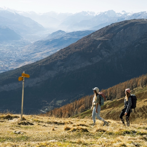 Alp Tschärmilonga VS, automne II