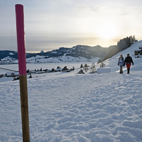 Signalisation_Winterwanderweg_Einsiedeln