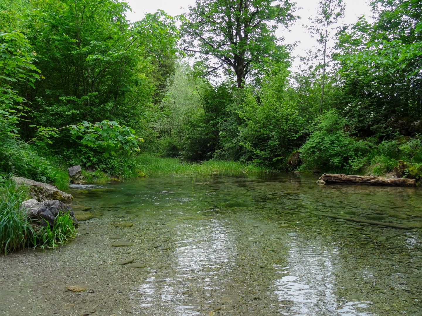 Das klare Wasser der Saane begleitet Wandernde.