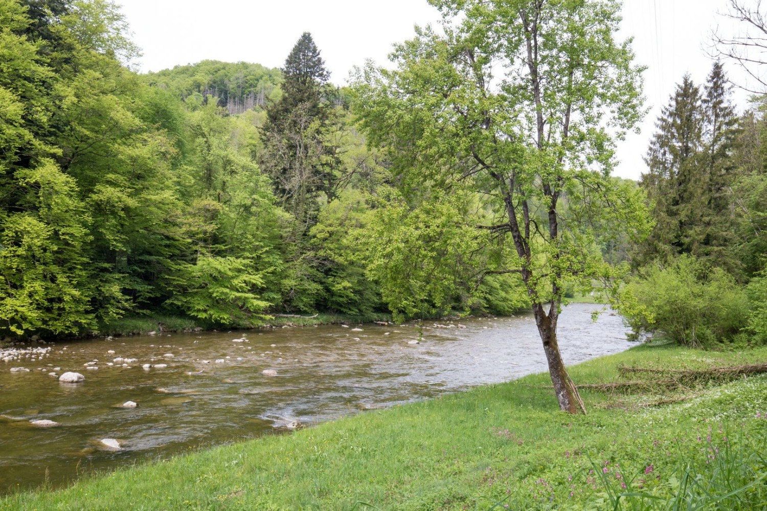 Hier stehen die Chancen gut, dass man eine Wasseramsel zu Gesicht bekommt.