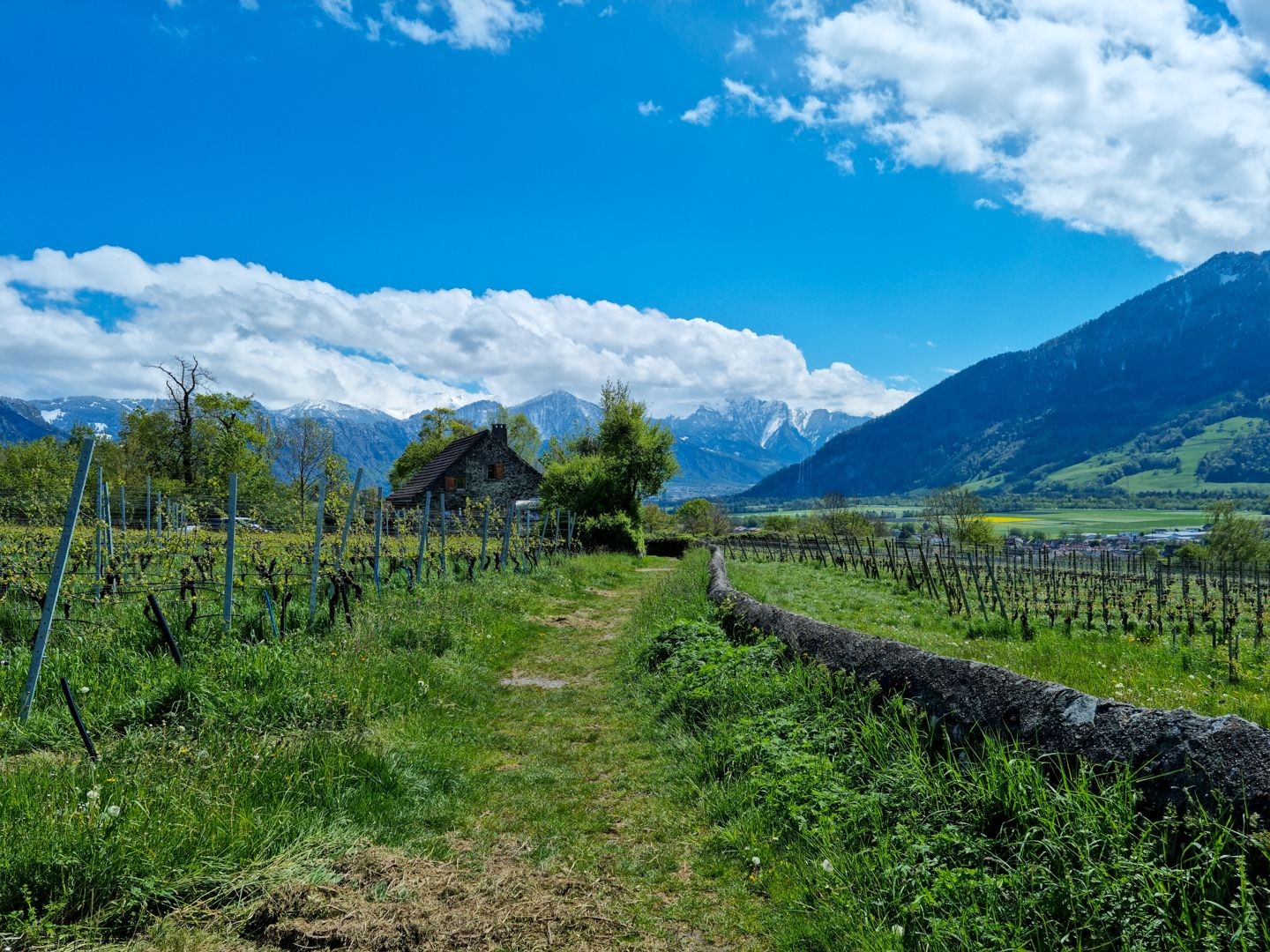 Blick nach Süden ins Churer Rheintal