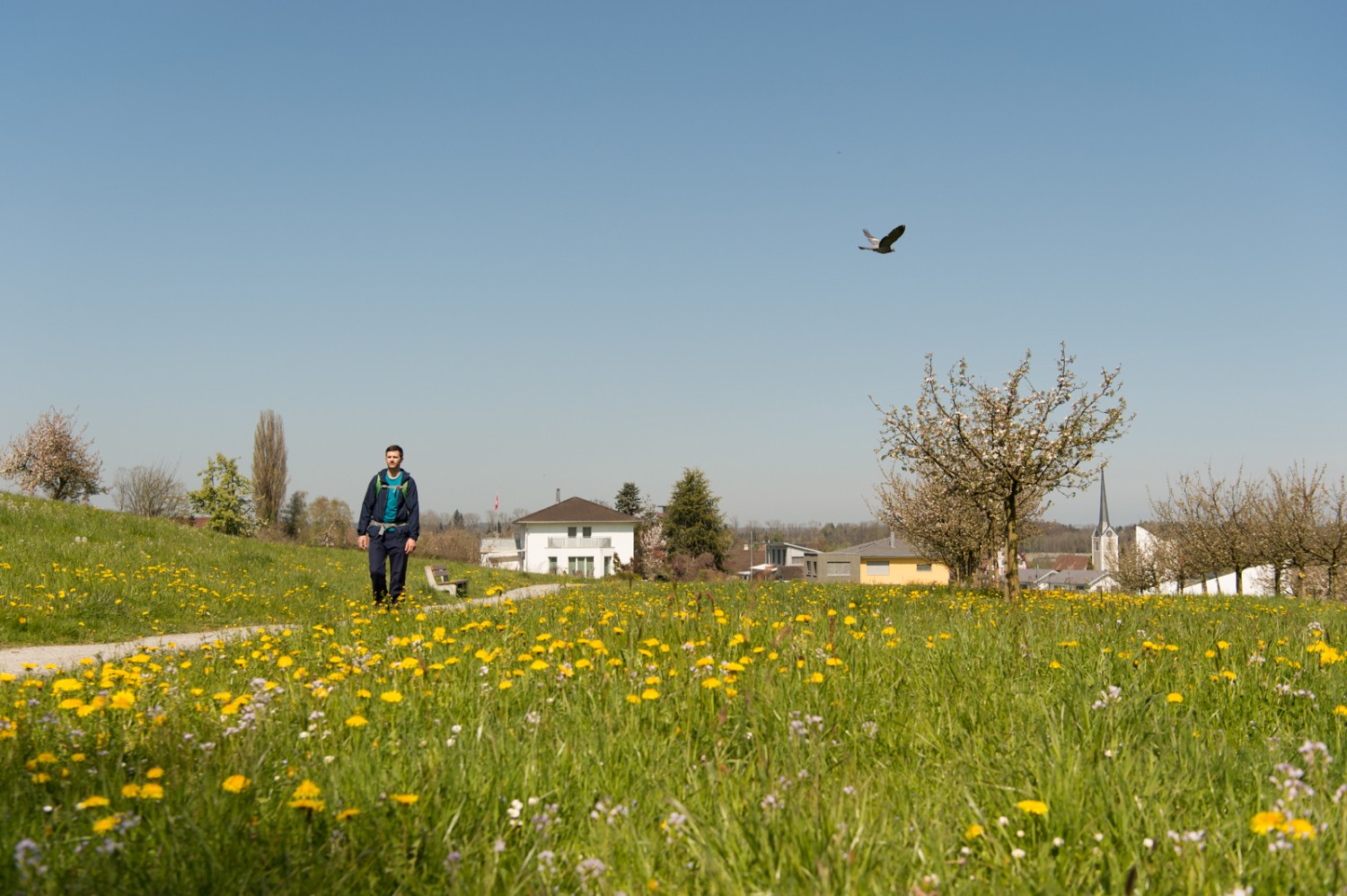 Vogelbesuch bei Roggwil. Bild: Raja Läubli