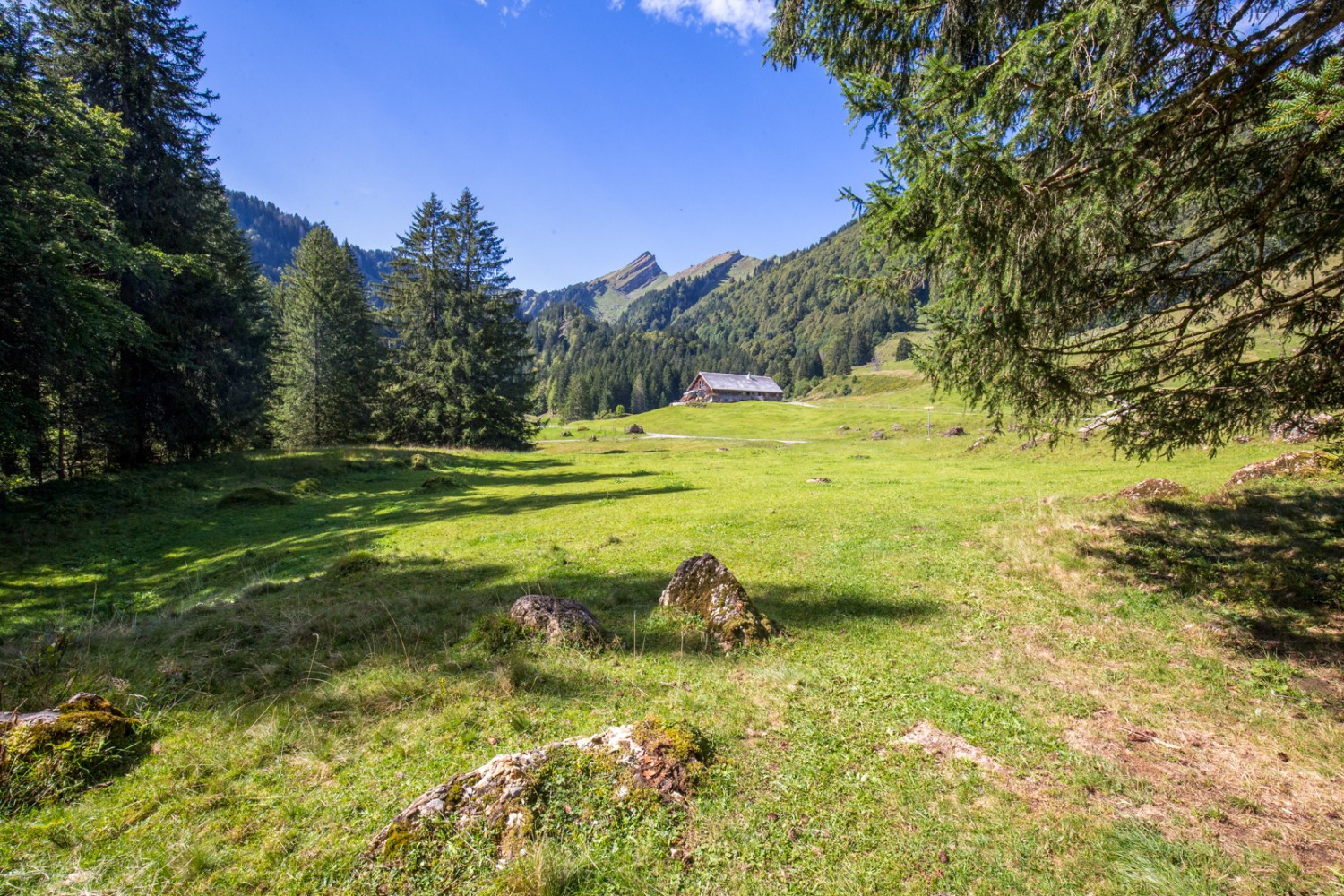 A Stofel, la vue sur le Speer est splendide. Photo: Daniel Fleuti 
