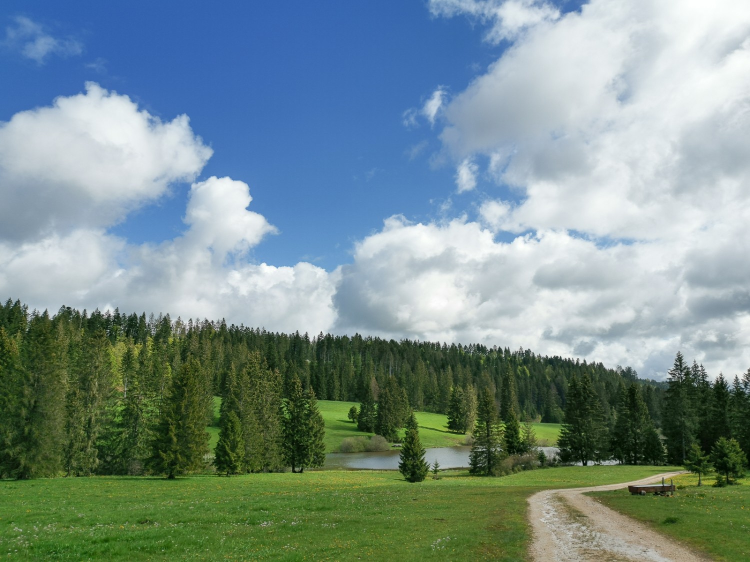 Le site de Plain de Saigne est un lieu parfait pour une halte. Photo: Evelyne Zaugg