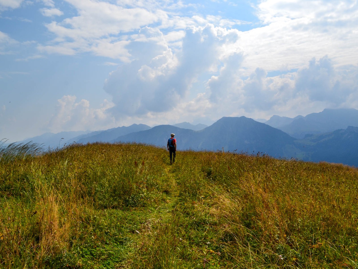 Sur la crête de Dundelegg. Photo: Sabine Joss