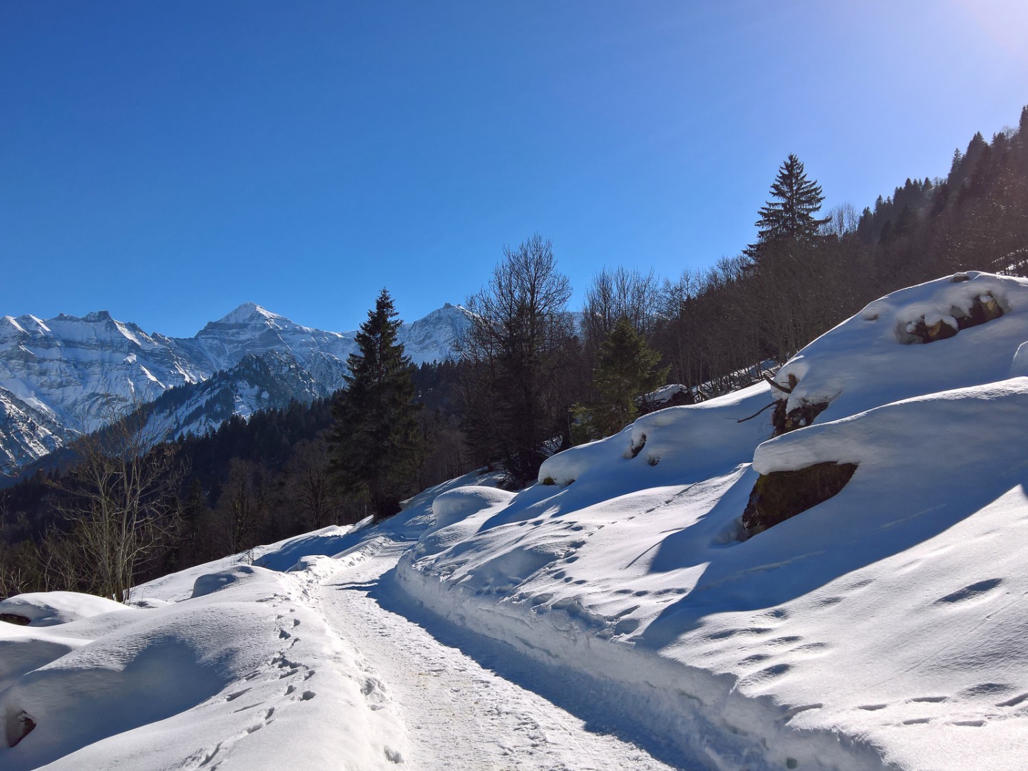 En direction de Nussbüel.