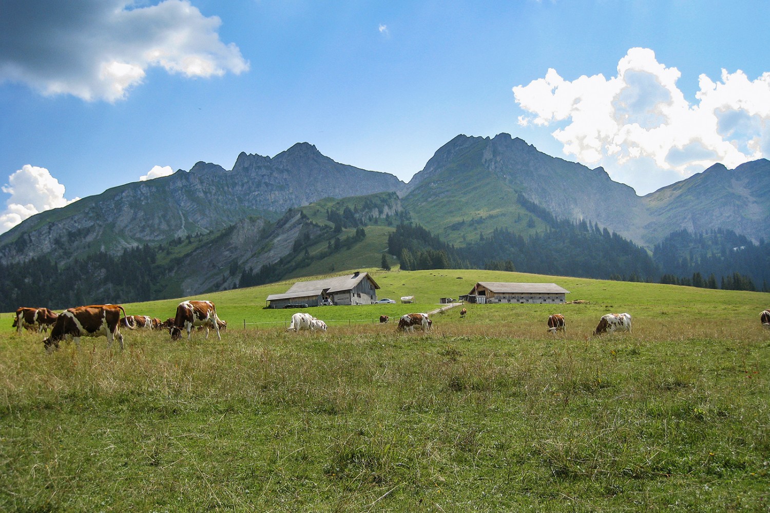 Das Plateau von Pra Cornet: Feuchtgebiet, Weide und eine grandiose Aussicht.