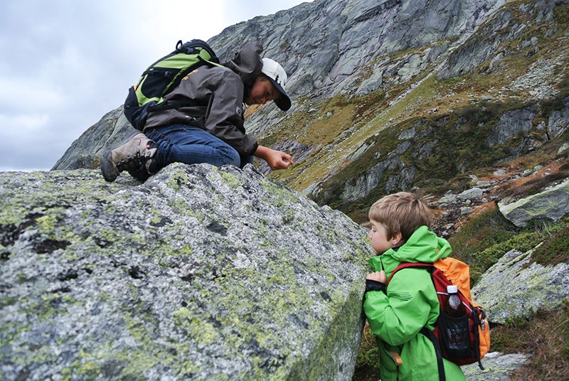 Kleine Forscher untersuchen die Flechten beim Aufstieg.