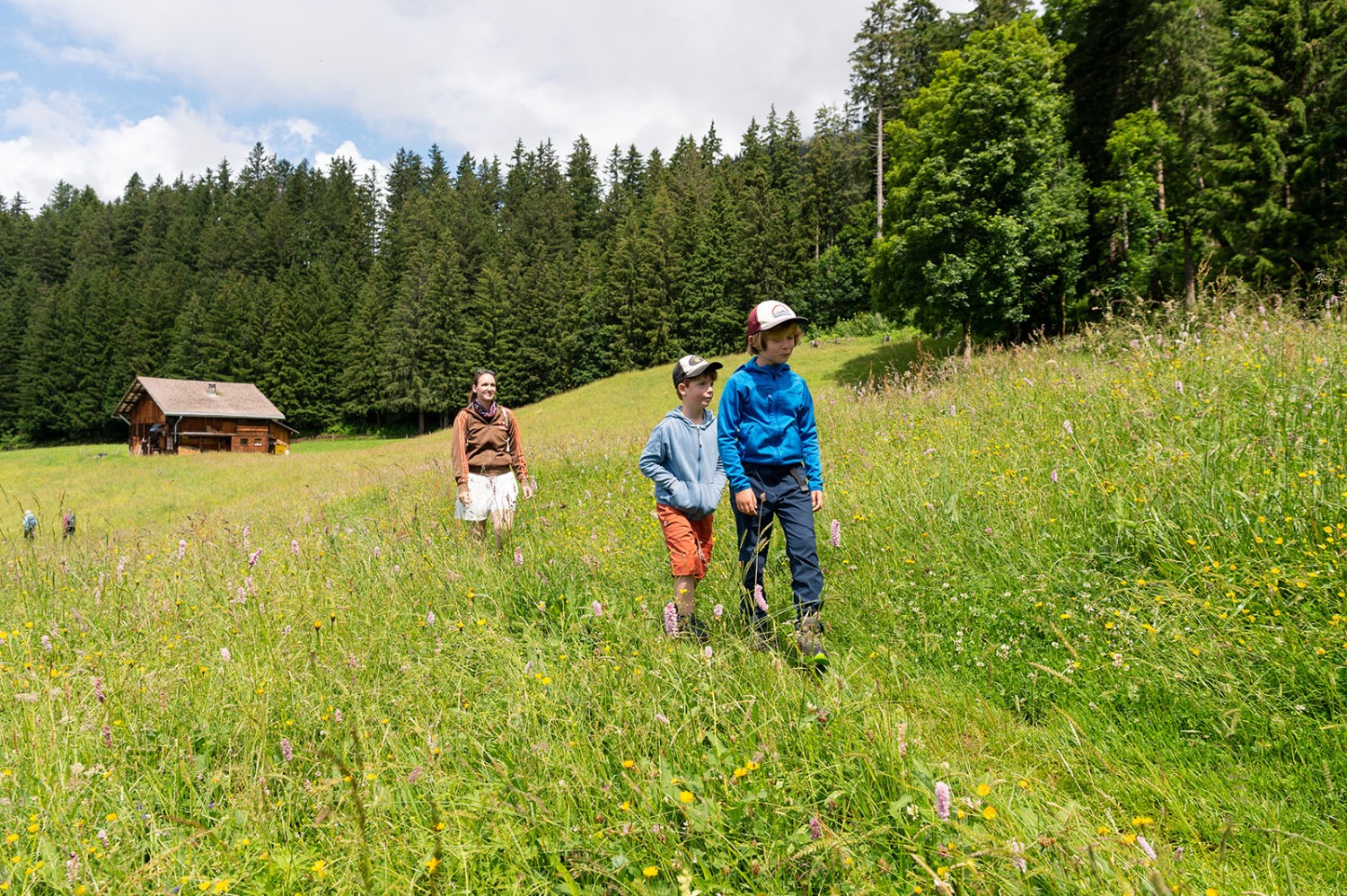 Der Weg führt durch Matten und Wälder. Bild: Raja Läubli