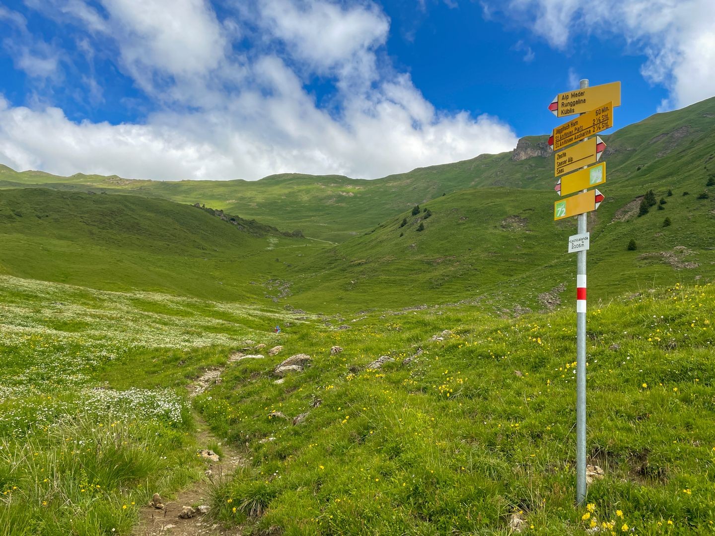 Durch eine sanft hügelige Alpweide steigt man zum Jägglisch Hora auf.